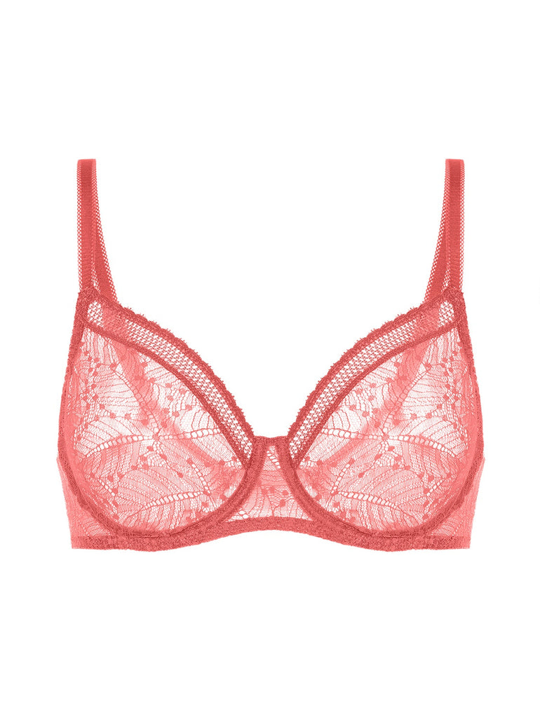 Buy Roselina Women's Non Padded Non Wired Full Coverage Bra with No Spillage  and Seamed Cups (Pari-28) Multicolour at