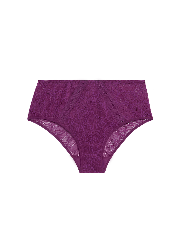 Comete Retro Brief Panty Blackberry Simone Perele