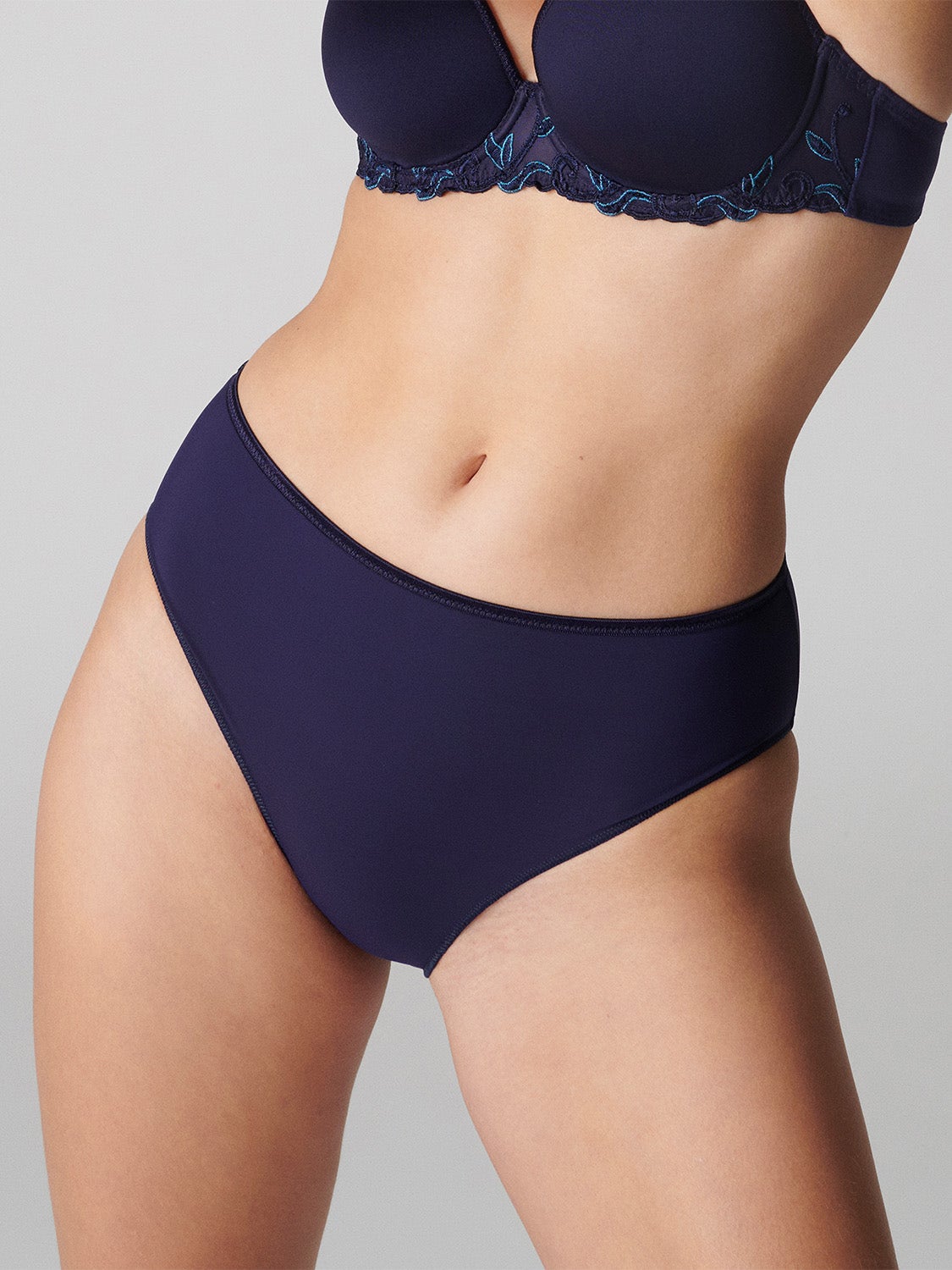 Andora Retro Brief Panty Midnight Simone Perele