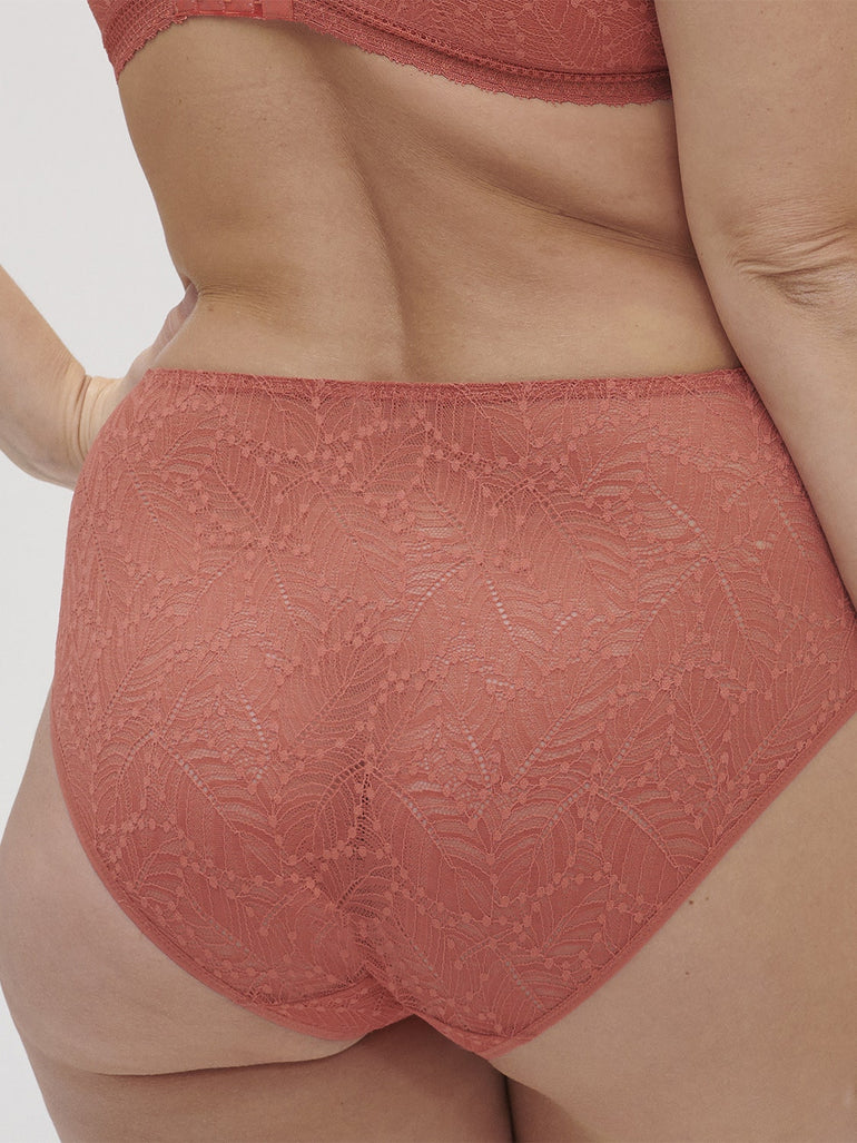 Canopée rose cotton high-waisted panty