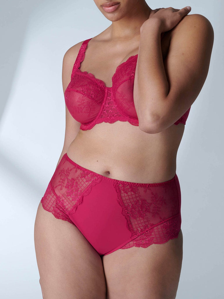 Reve Retro Brief Panty Cranberry Simone Perele