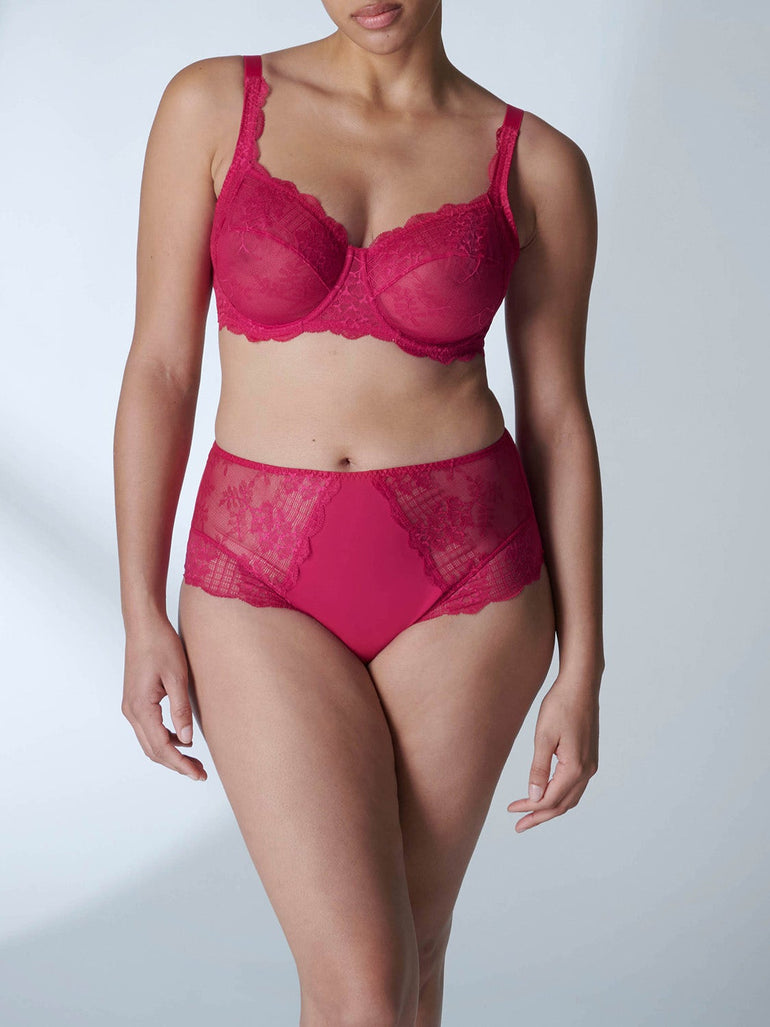 Reve Retro Brief Panty Cranberry Simone Perele