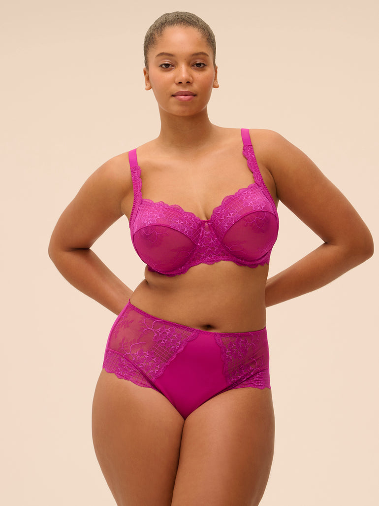 Reve Retro Brief Panty Azalea Simone Perele