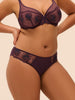 Intrigue Bikini - Fig