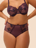 Intrigue Retro Brief - Fig